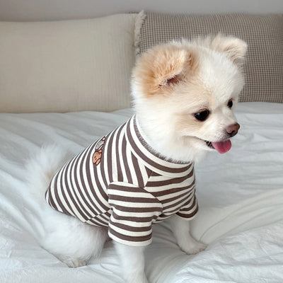 Summer Chic Small Dog Apparel