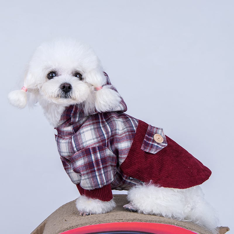 Pomeranian Elite Cashmere Hoodie