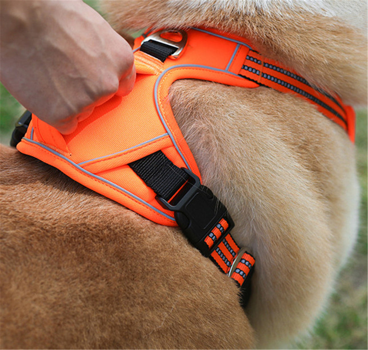 Strong-Grip Waterproof Dog Harness