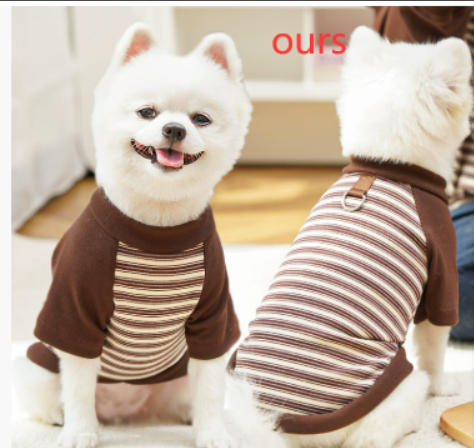 Summer Chic Small Dog Apparel