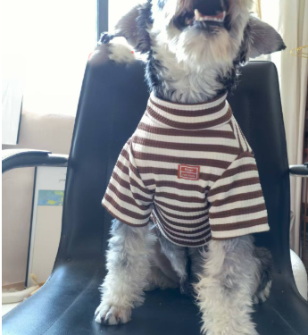 Summer Chic Small Dog Apparel